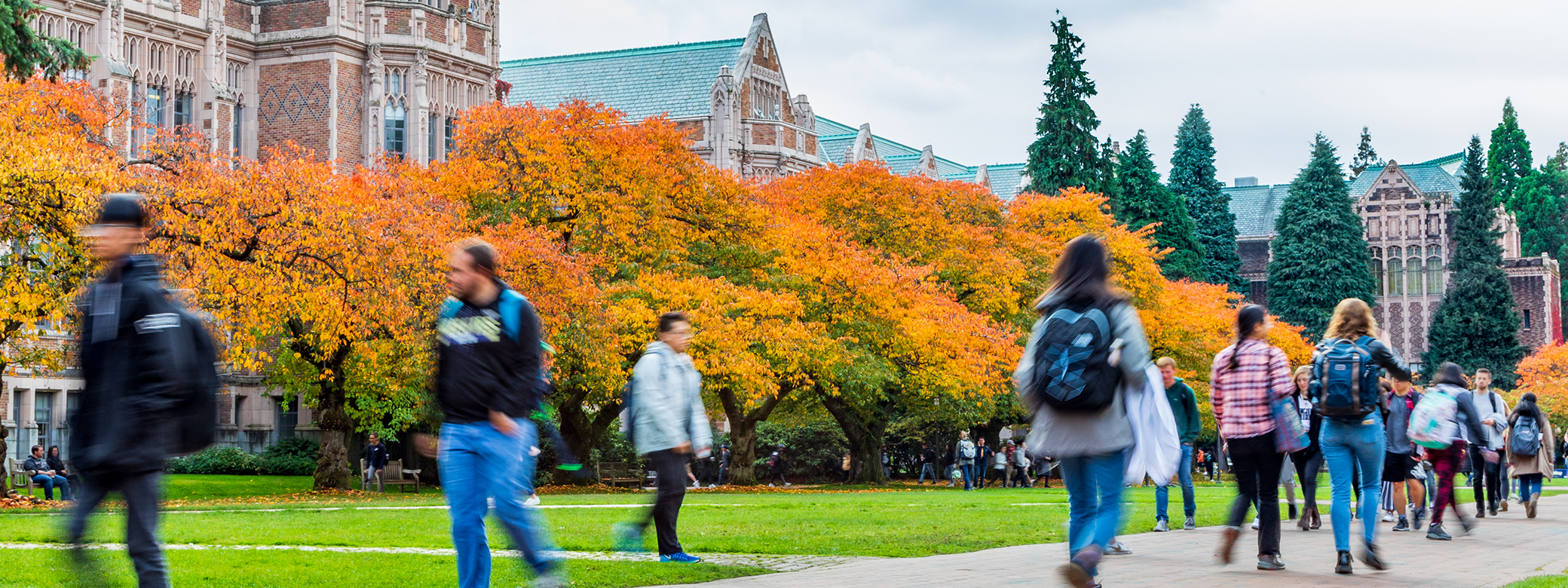 Carlow University Scholarships